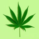 AZ Marijuana Dispensaries